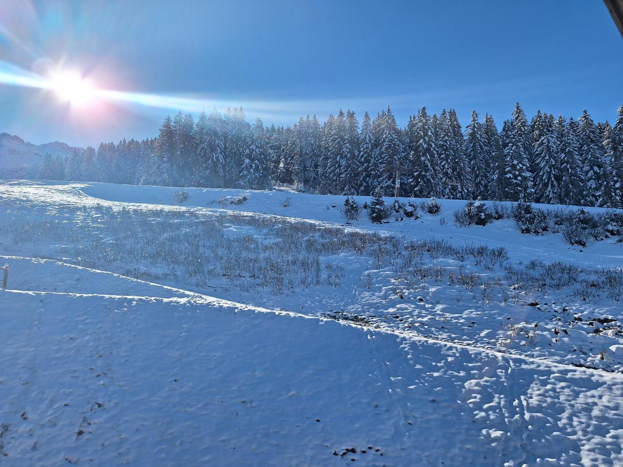 Les 7 Laux Immobilier Chalet F Prapoutel Esterno foto
